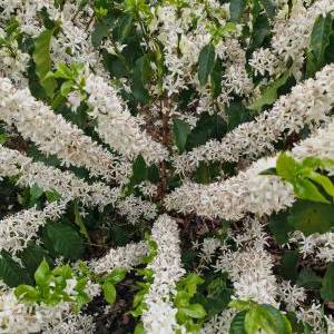 55538992-fec1-43b0-b8fa-1fd57bd170a3