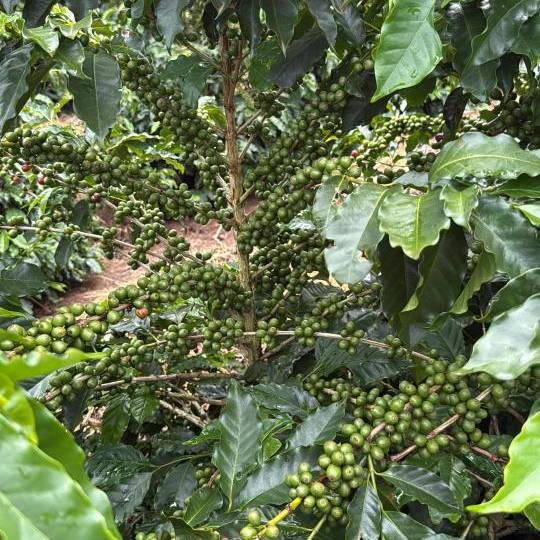 70C0EEED-C950-44AB-8A1C-31AAA4F47327