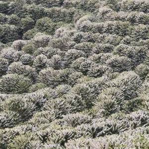 77177b0f-cdb3-4b40-a816-57a147c62d90