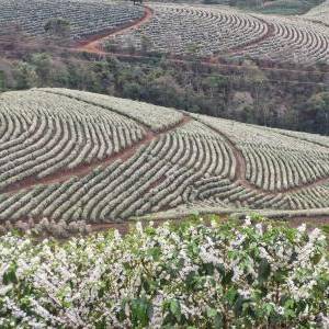 ececece8-a266-4e97-b04b-eea5c894f3b4